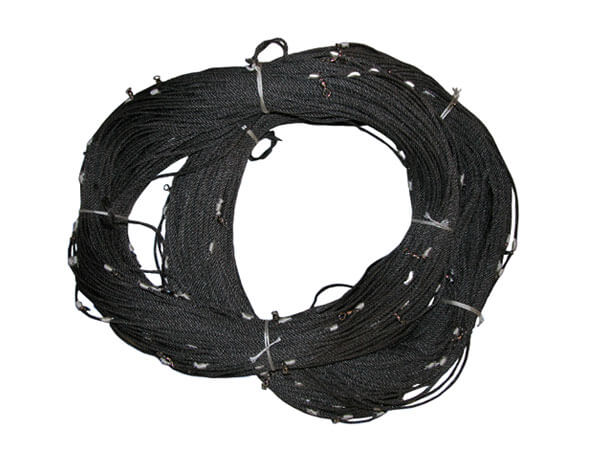 Producto 4